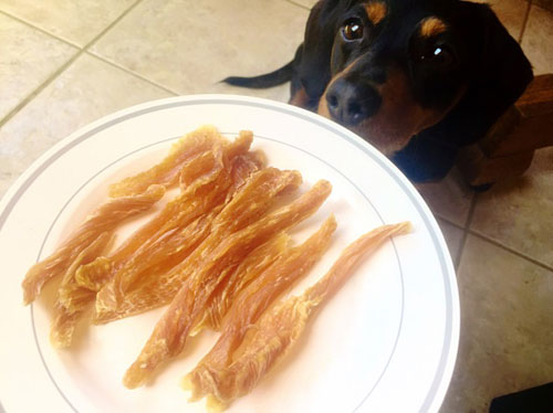 pollo casero para perro